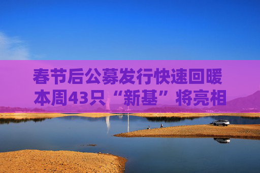 春节后公募发行快速回暖 本周43只“新基”将亮相