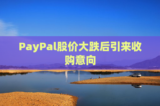 PayPal股价大跌后引来收购意向