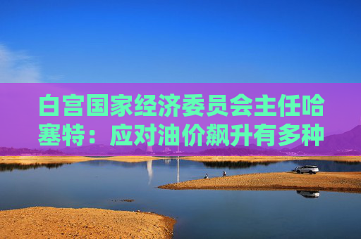 白宫国家经济委员会主任哈塞特：应对油价飙升有多种工具可用
