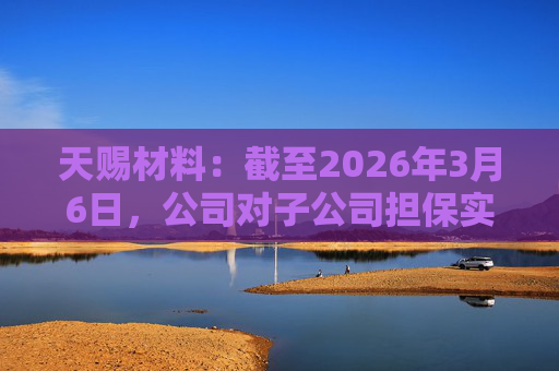 天赐材料：截至2026年3月6日，公司对子公司担保实际发生额合计409370.41万元