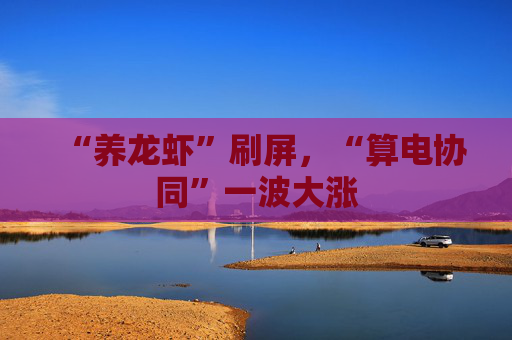 “养龙虾”刷屏，“算电协同”一波大涨