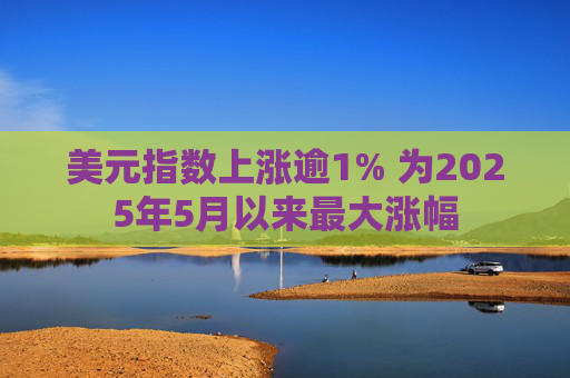 美元指数上涨逾1% 为2025年5月以来最大涨幅