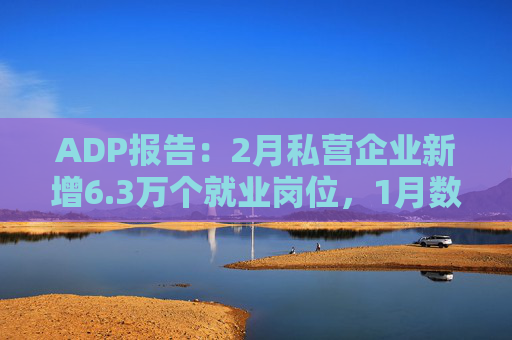 ADP报告：2月私营企业新增6.3万个就业岗位，1月数据下修至仅1.1万个