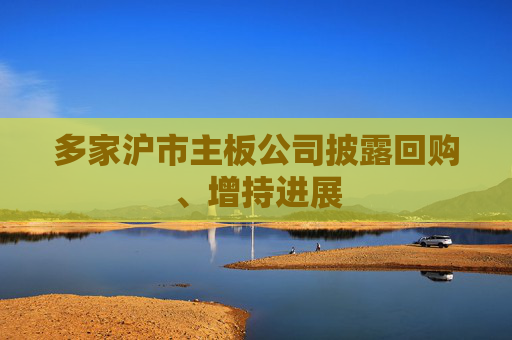 多家沪市主板公司披露回购、增持进展  第1张