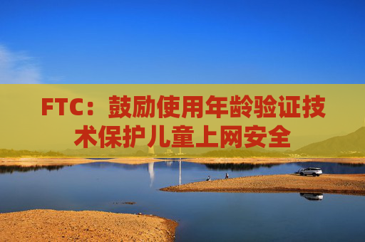 FTC：鼓励使用年龄验证技术保护儿童上网安全