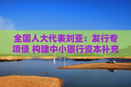 全国人大代表刘亚：发行专项债 构建中小银行资本补充长效机制