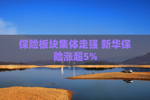保险板块集体走强 新华保险涨超5%