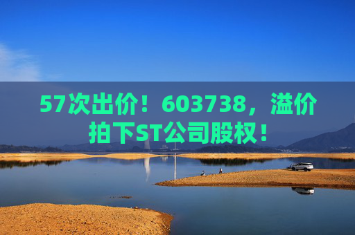 57次出价！603738，溢价拍下ST公司股权！