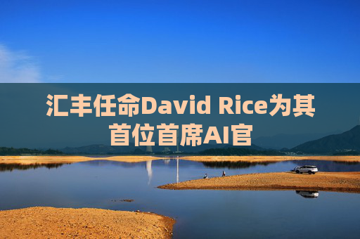 汇丰任命David Rice为其首位首席AI官