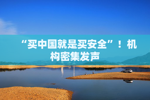 “买中国就是买安全”！机构密集发声