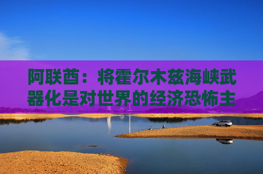 阿联酋：将霍尔木兹海峡武器化是对世界的经济恐怖主义
