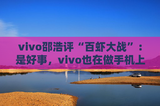 vivo邵浩评“百虾大战”：是好事，vivo也在做手机上的“龙虾”
