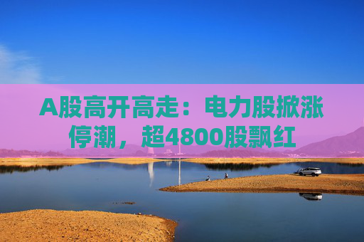 A股高开高走：电力股掀涨停潮，超4800股飘红