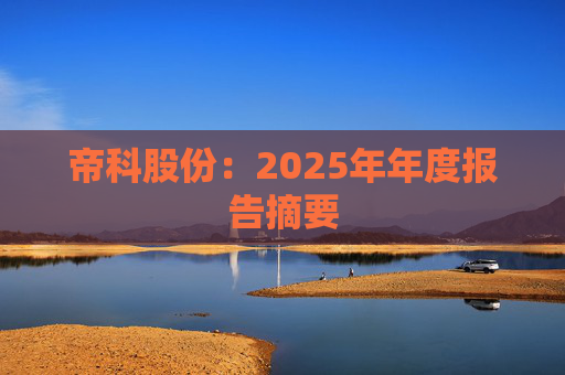 帝科股份：2025年年度报告摘要