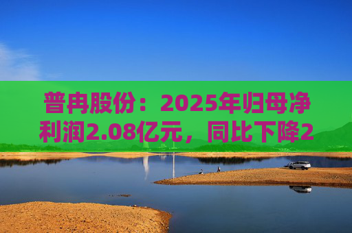 普冉股份：2025年归母净利润2.08亿元，同比下降29.03%