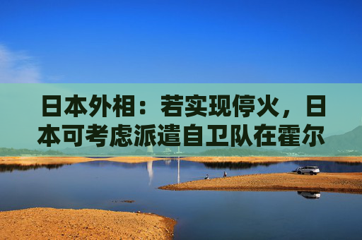 日本外相：若实现停火，日本可考虑派遣自卫队在霍尔木兹海峡扫雷