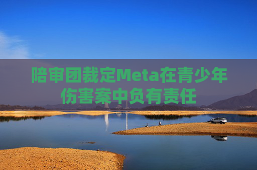 陪审团裁定Meta在青少年伤害案中负有责任