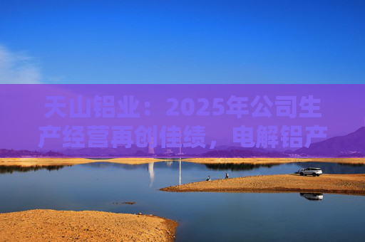 天山铝业：2025年公司生产经营再创佳绩，电解铝产量、氧化铝产量等再创历史新高