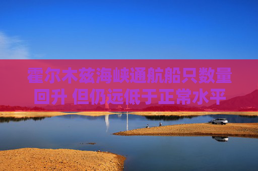 霍尔木兹海峡通航船只数量回升 但仍远低于正常水平
