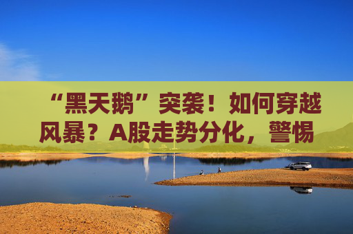 “黑天鹅”突袭！如何穿越风暴？A股走势分化，警惕永久性资本损失！