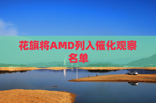 花旗将AMD列入催化观察名单