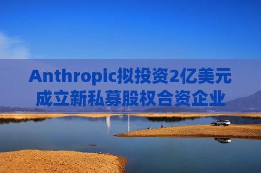 Anthropic拟投资2亿美元成立新私募股权合资企业