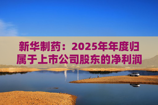 新华制药：2025年年度归属于上市公司股东的净利润是289888855.00元