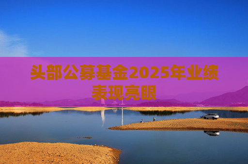 头部公募基金2025年业绩表现亮眼