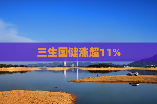 三生国健涨超11%