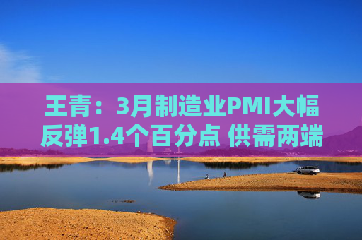王青：3月制造业PMI大幅反弹1.4个百分点 供需两端明显改善｜首席读数据