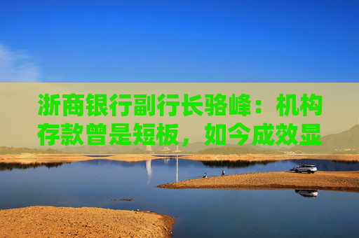 浙商银行副行长骆峰：机构存款曾是短板，如今成效显著、贡献突出