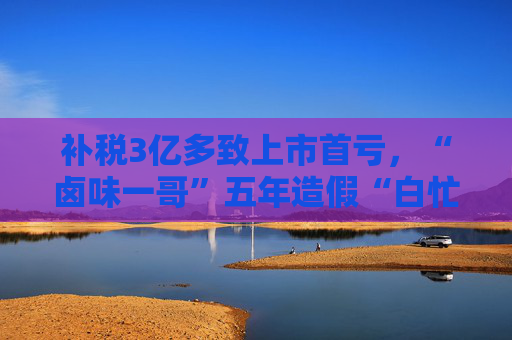 补税3亿多致上市首亏，“卤味一哥”五年造假“白忙活”？