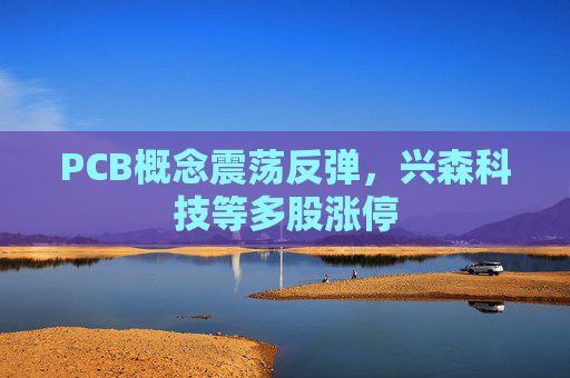 PCB概念震荡反弹，兴森科技等多股涨停