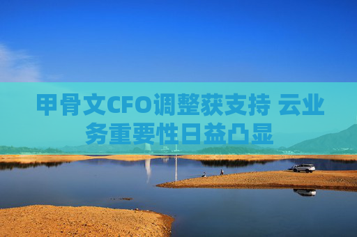 甲骨文CFO调整获支持 云业务重要性日益凸显