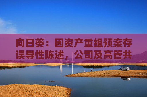 向日葵：因资产重组预案存误导性陈述，公司及高管共被罚510万元