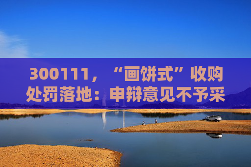 300111，“画饼式”收购处罚落地：申辩意见不予采纳，维持公司与高管合计罚款510万元