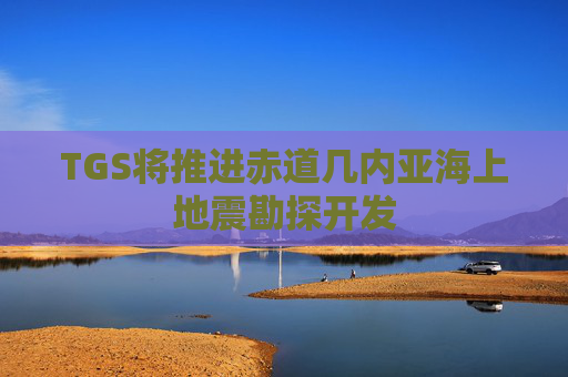 TGS将推进赤道几内亚海上地震勘探开发
