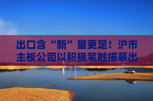 出口含“新”量更足！沪市主板公司以积极笔触描摹出中国经济大格局的稳健形制