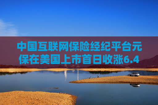 中国互联网保险经纪平台元保在美国上市首日收涨6.4%