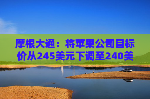 摩根大通：将苹果公司目标价从245美元下调至240美元