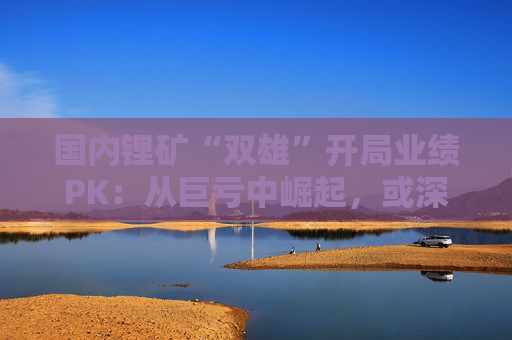 国内锂矿“双雄”开局业绩PK：从巨亏中崛起，或深陷泥淖谋求多元转型  第1张
