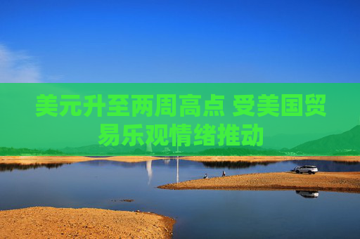 美元升至两周高点 受美国贸易乐观情绪推动