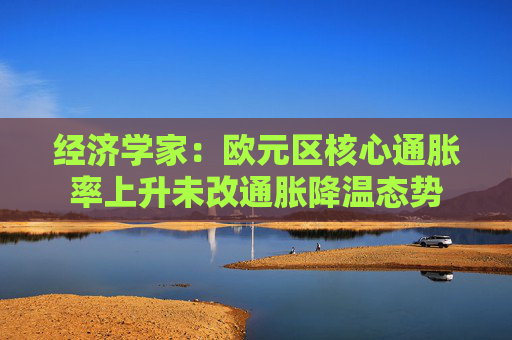 经济学家：欧元区核心通胀率上升未改通胀降温态势