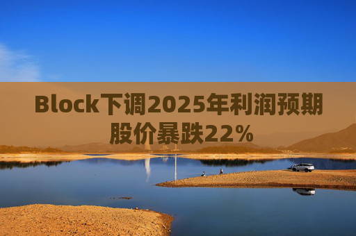 Block下调2025年利润预期 股价暴跌22%