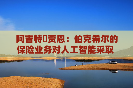 阿吉特・贾恩：伯克希尔的保险业务对人工智能采取 “观望” 态度  第1张