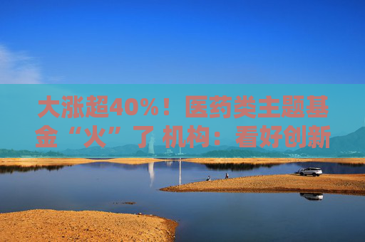 大涨超40%！医药类主题基金“火”了 机构：看好创新药投资机会  第1张