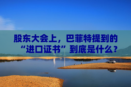 股东大会上，巴菲特提到的“进口证书”到底是什么？