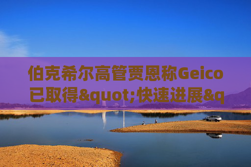 伯克希尔高管贾恩称Geico已取得"快速进展"