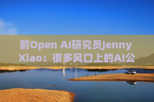 前Open AI研究员Jenny Xiao：很多风口上的AI公司都将昙花一现