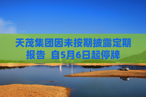 天茂集团因未按期披露定期报告  自5月6日起停牌